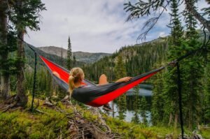 Hammock Image