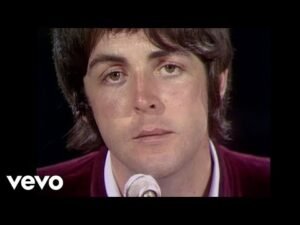 Vevo 2 Image