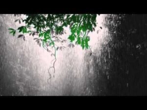 Music, Culture And Nature Image