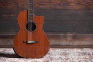The North American Guitar Image